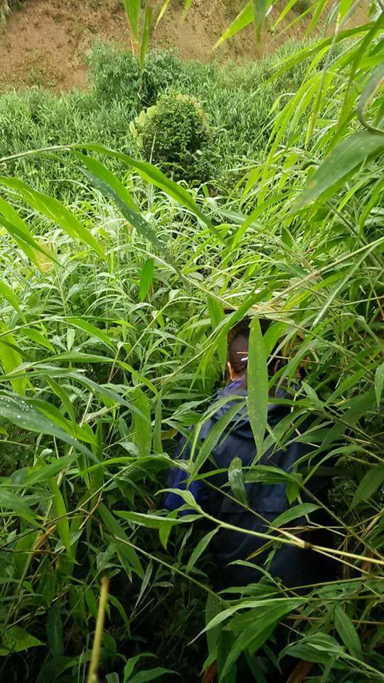 giáo viên vùng cao, tựu trường, khai giảng, giáo viên