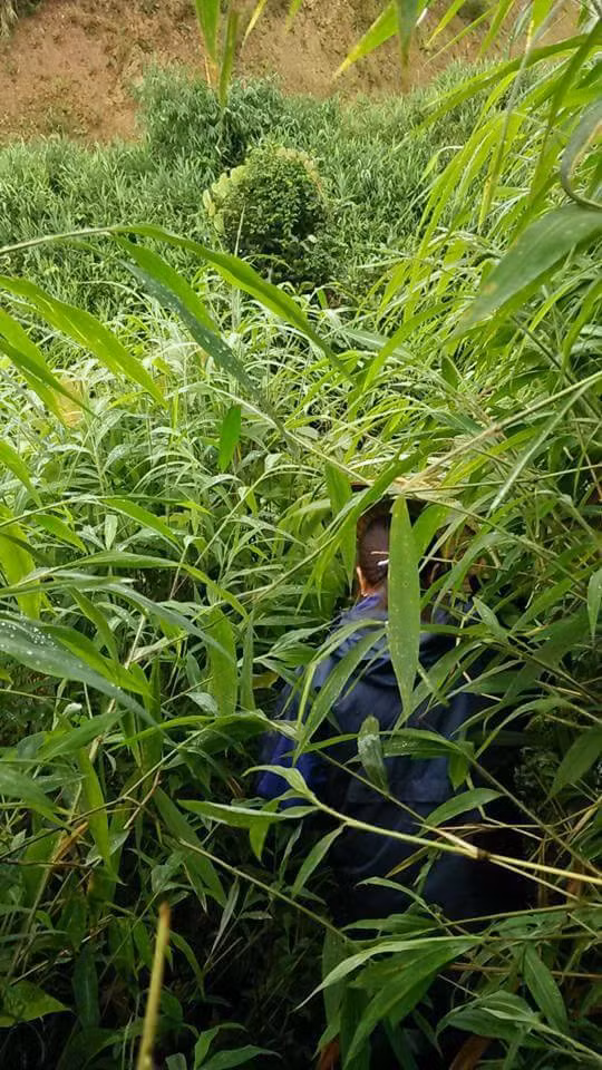 giáo viên vùng cao, tựu trường, khai giảng, giáo viên