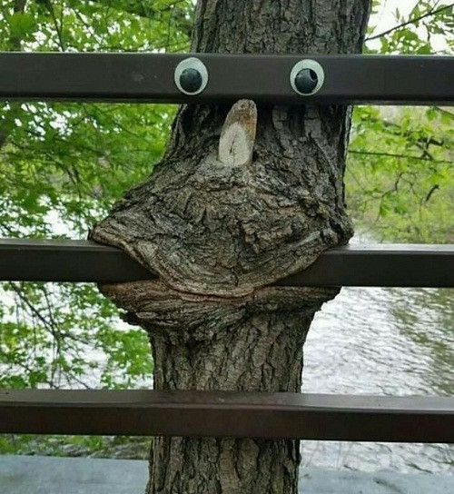 10-anh-hai-hot-nhat-facebook-trong-ngay-8