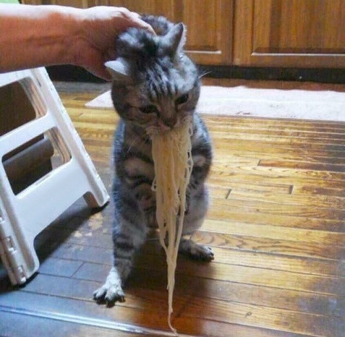 10-anh-hai-hot-nhat-facebook-trong-ngay-2