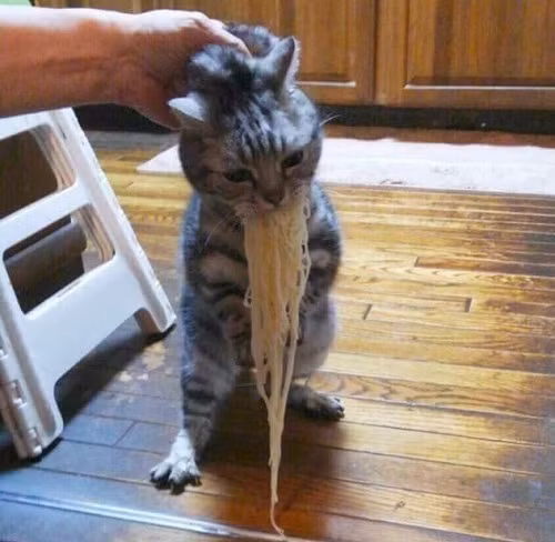 Miếng ăn là miếng tồi tàn. 10-anh-hai-hot-nhat-facebook-trong-ngay-2