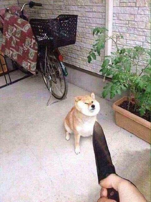 10-anh-hai-hot-nhat-facebook-trong-ngay-1