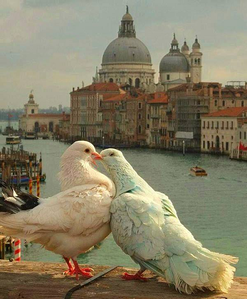 10-anh-hai-hot-nhat-facebook-trong-ngay-3