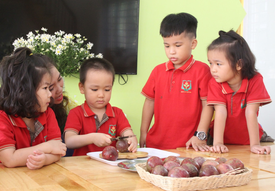 19 mùa xuân tâm huyết xây dựng môi trường phát triển toàn diện cho trẻ ảnh 3 19 mùa xuân tâm huyết xây dựng môi trường phát triển toàn diện cho trẻ ảnh 3