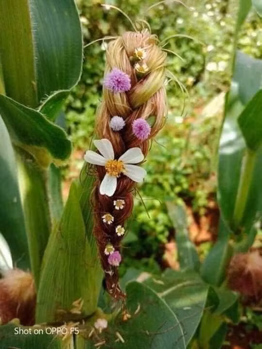 Sáng tạo là vô hạn... ảnh 1