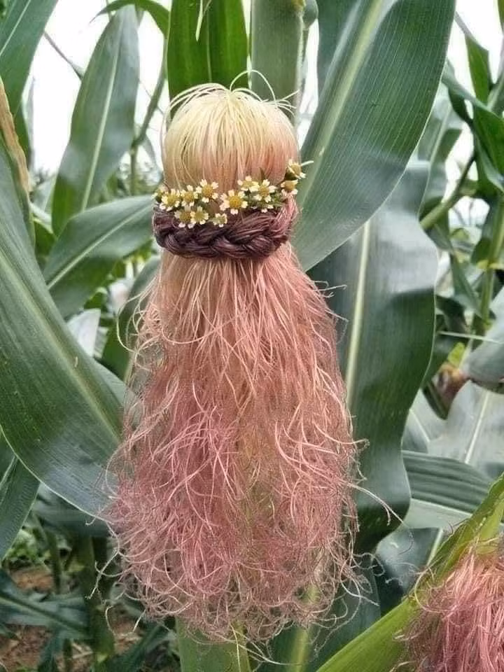 Sáng tạo là vô hạn... ảnh 8