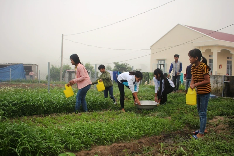 Nhà trường ngoài dạy kiến thức còn dạy các em tăng gia sản xuất, cải thiện bữa ăn.