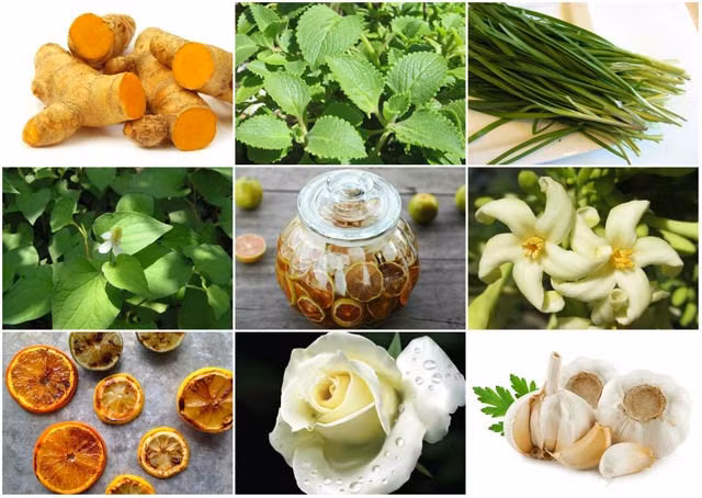 Cách làm món lươn cuốn thịt rán thơm phức, bé ăn vừa ngon vừa bổ