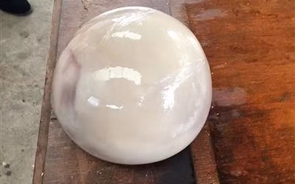 Phát hiện "báu vật" trong bụng lợn, người đàn ông mừng thầm nhưng sau mới tá hỏa ra là... 