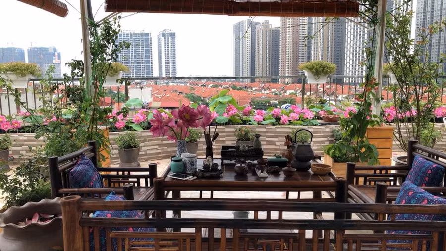 xieu long truoc san thuong ruc ro hoa hong cua ba me o ha noi hinh anh 9