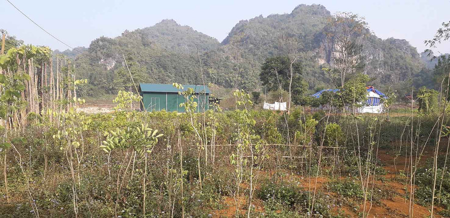 Đồng bào Thái Tây Bắc nhắc nhở con cháu mình rằng: “Ăn cá đừng quên suối, ăn gạo đừng quên nương” Đồng bào Thái Tây Bắc nhắc nhở con cháu mình rằng: “Ăn cá đừng quên suối, ăn gạo đừng quên nương”