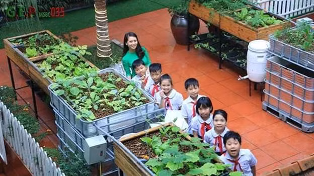 Dạy học theo STEM với mô hình “vườn thông minh” ở trường tiểu học