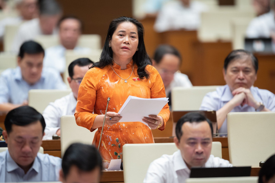 ĐBQH Lê Thị Thanh Lam - Đoàn ĐBQH tỉnh Hậu Giang. Ảnh: Quốc Hội. ĐBQH Lê Thị Thanh Lam - Đoàn ĐBQH tỉnh Hậu Giang. Ảnh: Quốc Hội.