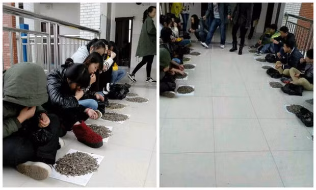 Ăn hết mới được về nha mấy đứa ơi!