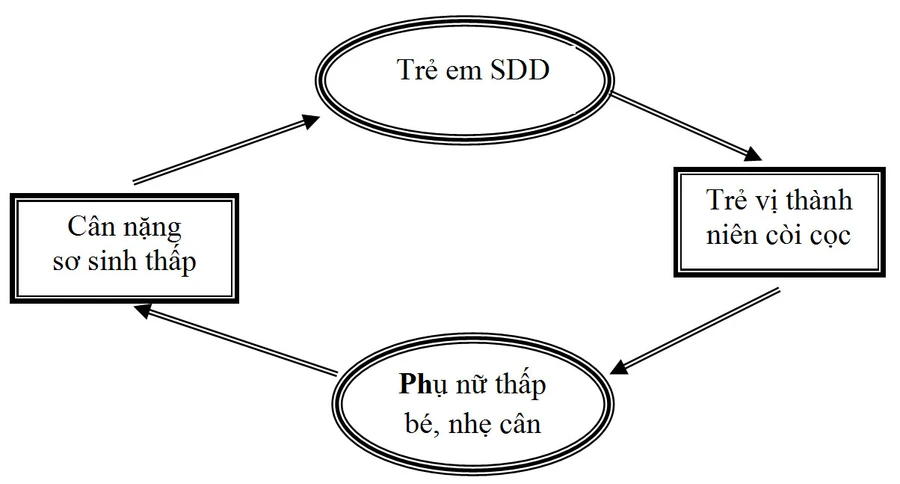 Vòng luẩn quẩn của tình trạng suy dinh dưỡng