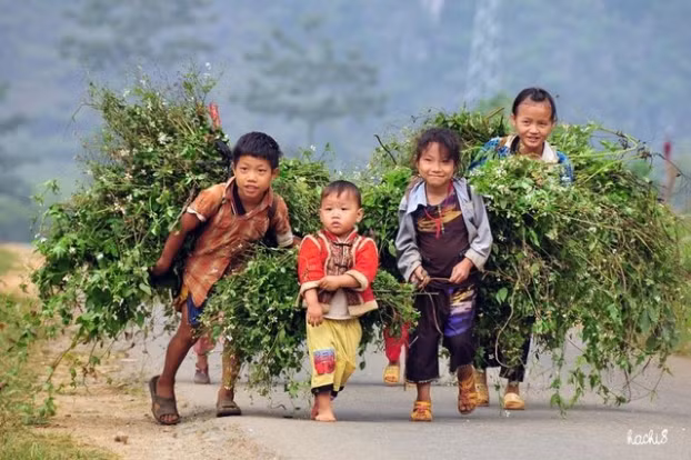  Bố mẹ của những trẻ em này có biết những công việc này là quá sức đối với trẻ? Ảnh: Internet. 