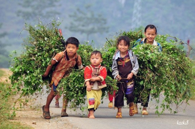 Bắt trẻ làm việc nhà, bố mẹ bị phạt tiền: Đừng nhầm lẫn giữa dạy dỗ và bóc lột con
