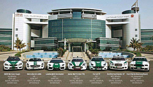 Những hình ảnh bá đạo chỉ có ở Dubai - Hình 4