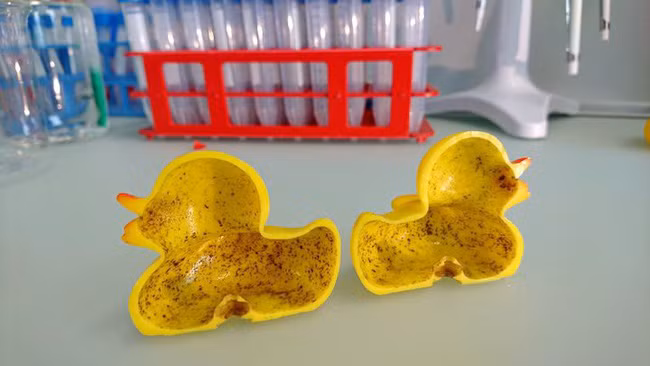 Hy hữu: Bé trai bị kẹt vùng kín ở lỗ thoát nước bồn tắm và những hiểm họa rình rập trẻ ở nơi tưởng rất an toàn - Ảnh 3.