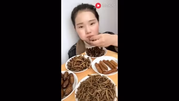 Cô gái xinh đẹp “nghiện” bọ cạp, gián, sâu