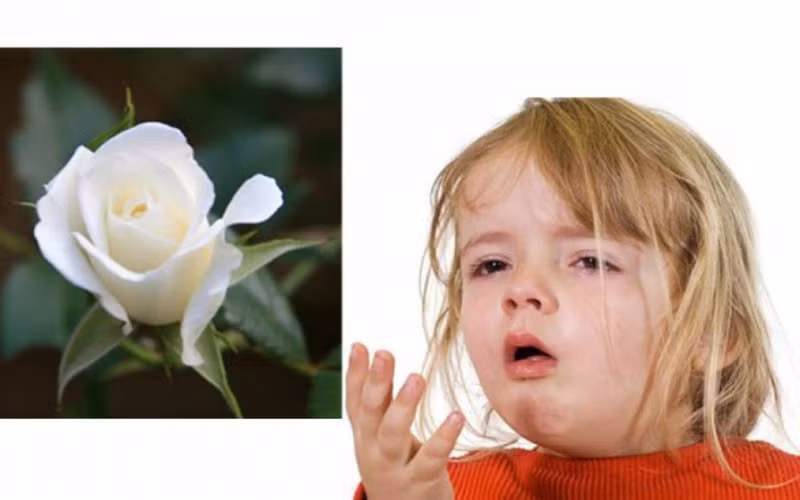 7 bai thuoc chua ho hieu qua cho tre trong mua lanh hinh 6