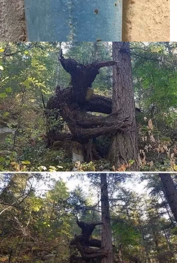 Sợ chưa, sợ chưa?