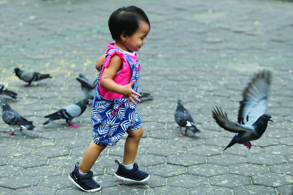 Nô đùa trong nắng.