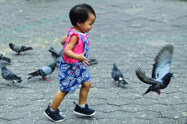 Nô đùa trong nắng.