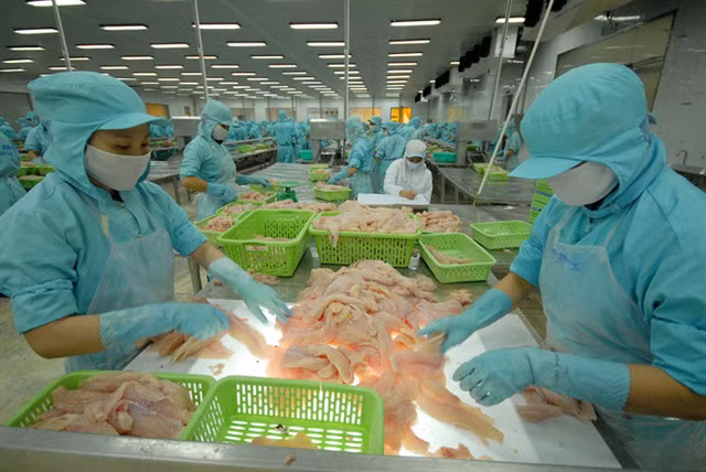 Cần thiết phát triển thị trường thủy sản nội địa