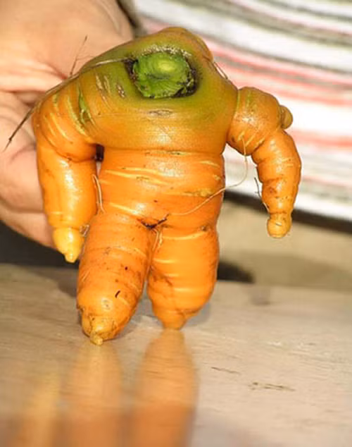 tron mat voi nhung cu qua co hinh dang ky di khong the tin noi - 1