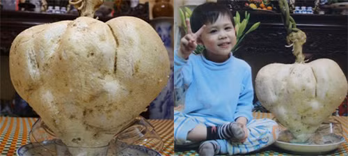 tron mat voi nhung cu qua co hinh dang ky di khong the tin noi - 12