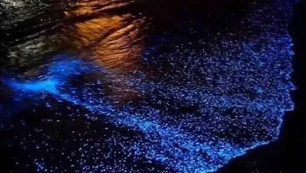 xon xao anh sang xanh ma quai xuat hien tren bo bien trung quoc hinh anh 5