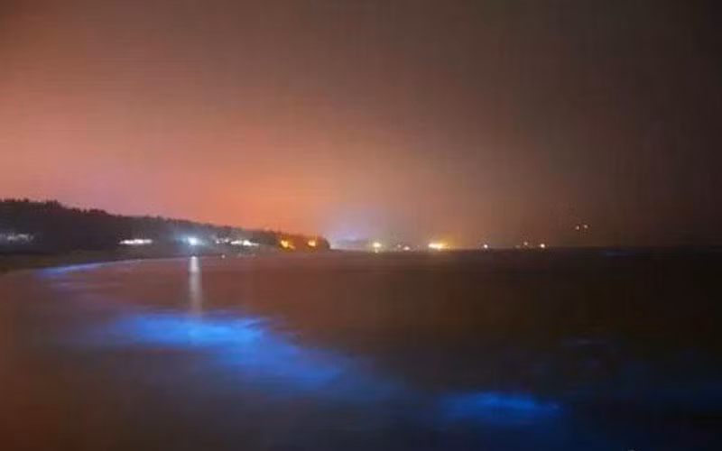 xon xao anh sang xanh ma quai xuat hien tren bo bien trung quoc hinh anh 2