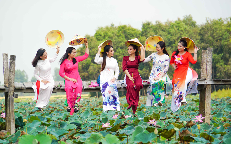 Lễ hội có nhiều hoạt động kết nối tour du lịch trải nghiệm Sen. Lễ hội có nhiều hoạt động kết nối tour du lịch trải nghiệm Sen.