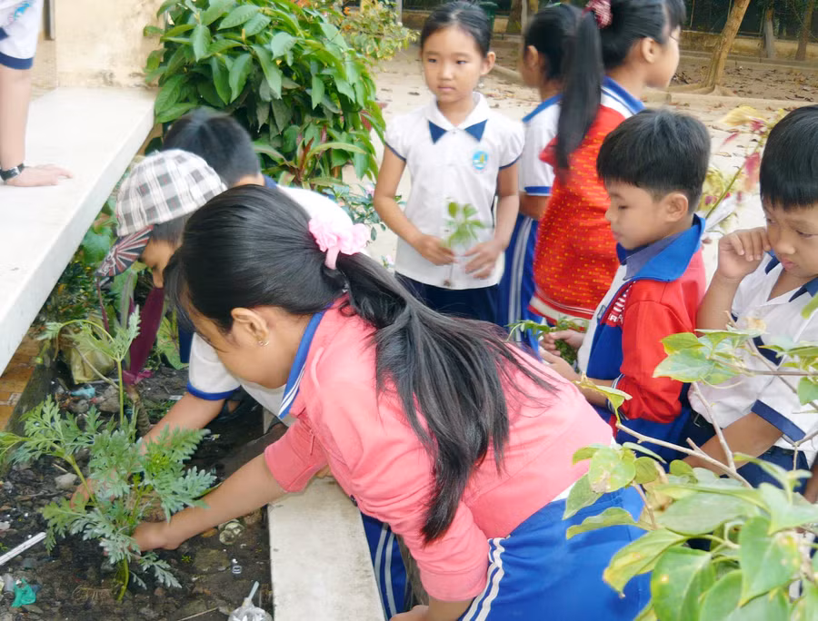 Dạy trẻ cách phòng chống thiên tai từ việc làm nhỏ