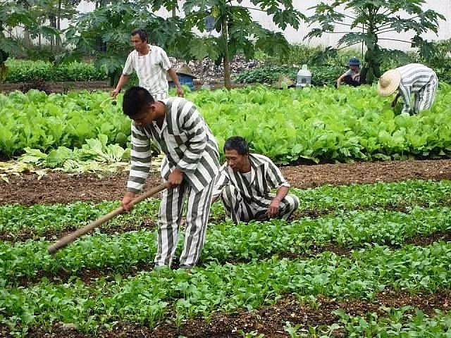 Xúc động lá thư xin lỗi mẹ của chàng trai mắc nghiện ma túy