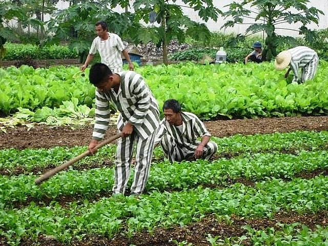 Xúc động lá thư xin lỗi mẹ của chàng trai mắc nghiện ma túy