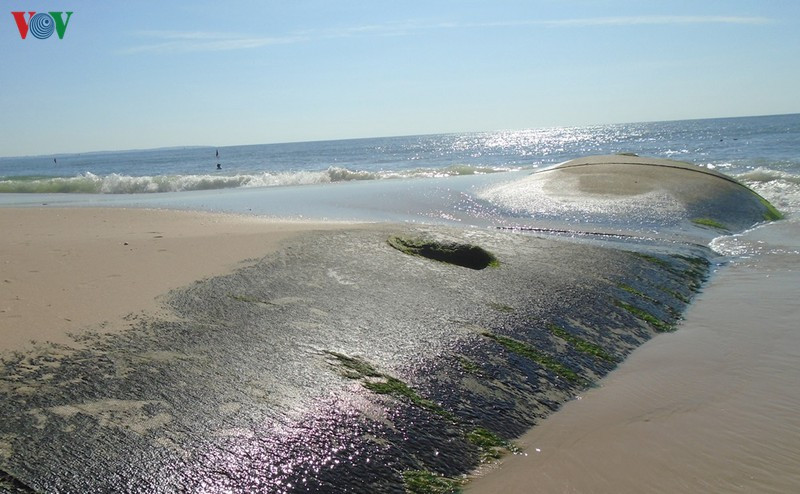 bình thuận "bó tay" với xây kè tự phát chống nước biển xâm thực hình 3 binh thuan "bo tay" voi xay ke tu phat chong nuoc bien xam thuc hinh 3