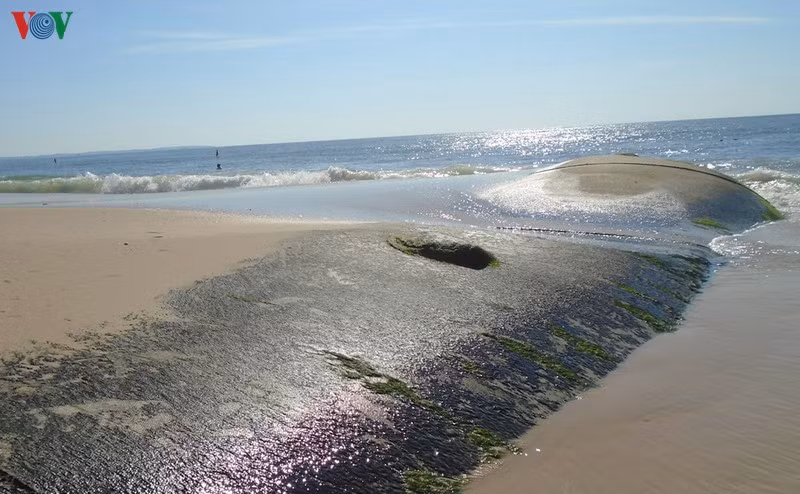 binh thuan "bo tay" voi xay ke tu phat chong nuoc bien xam thuc hinh 3