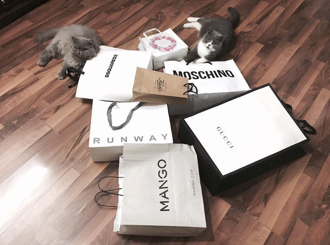 Ở tuổi 26, Chi Pu đã sở hữu khối tài sản đồ sộ như thế này! - Ảnh 3. Ở tuổi 26, Chi Pu đã sở hữu khối tài sản đồ sộ như thế này!-3