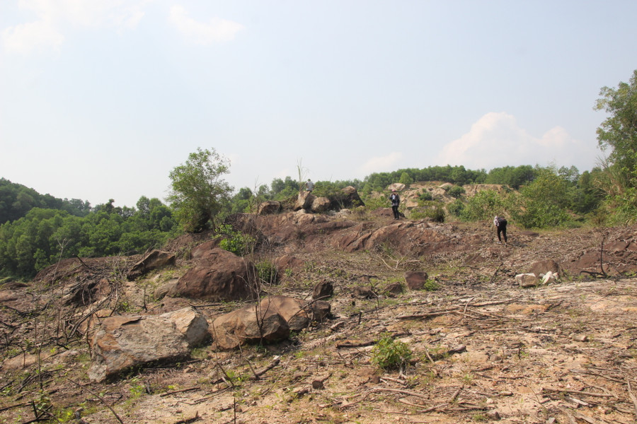 Hòn Mồ Côi nằm trên đồi Tỷ vẫn còn xơ xác với những dấu tích của một thời “đá đỏ”