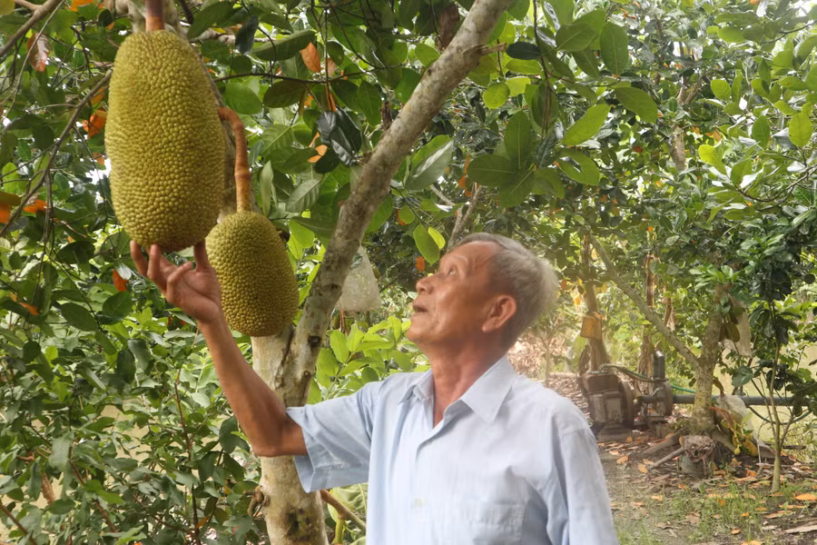 Gia tài quý của lão nông