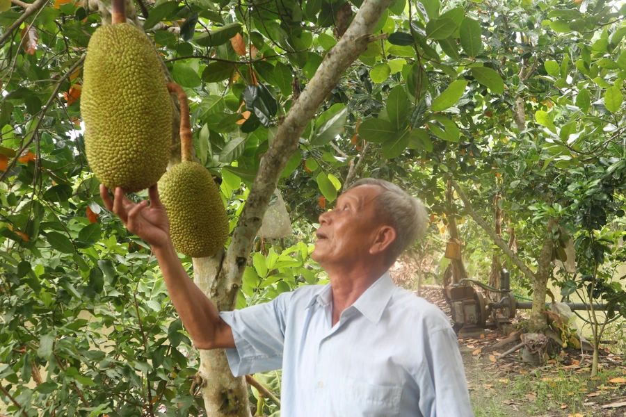 Gia tài quý của lão nông