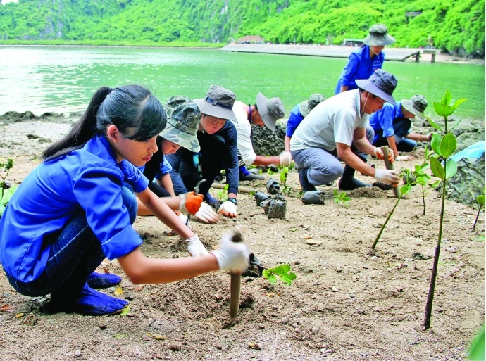 Việt Nam đang nỗ lực trong cải tạo môi trường phòng chống biến đổi khí hậu