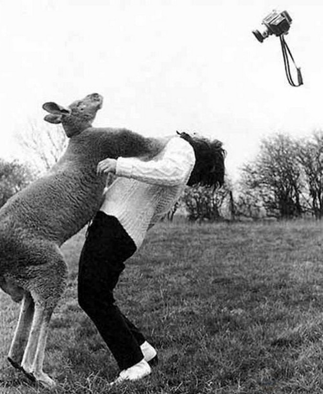 Sự thật khó đỡ đằng sau những bức ảnh đẹp sống ảo trên mạng hình ảnh 6 su that kho do dang sau nhung buc anh dep song ao tren mang hinh anh 6