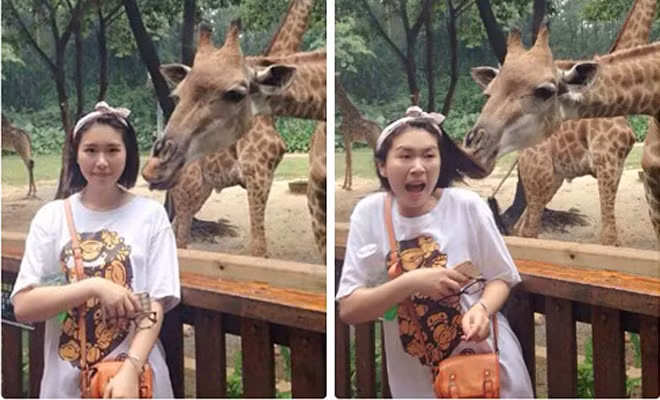 su that kho do dang sau nhung buc anh dep song ao tren mang hinh anh 4