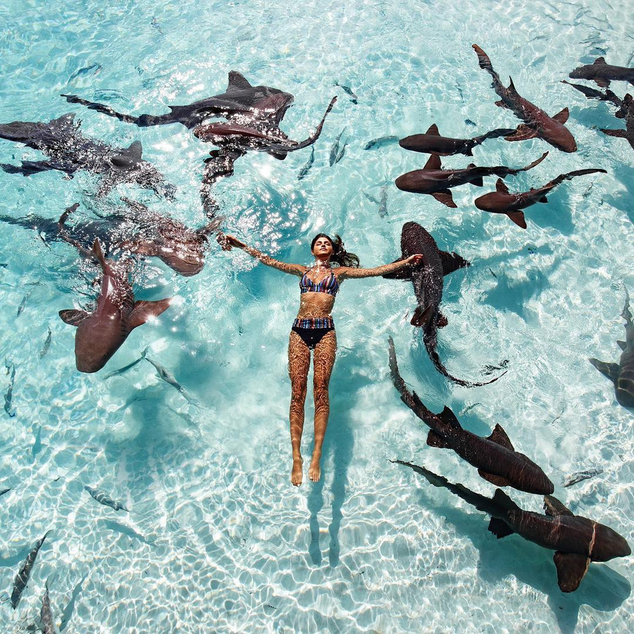 Người đẹp bikini bơi trong vùng nước đầy cá mập hình ảnh 4 nguoi dep bikini boi trong vung nuoc day ca map hinh anh 4