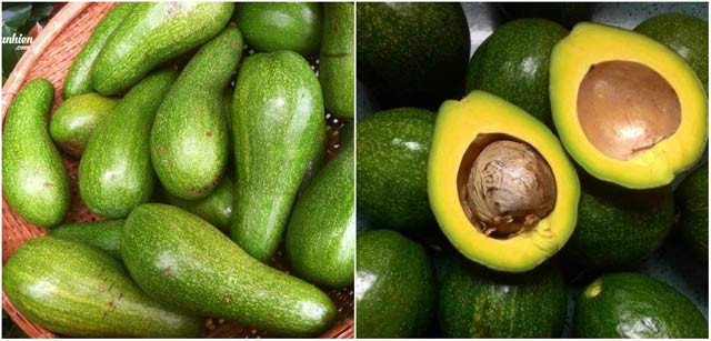 Mẹo hay, mẹo vặt, hoa quả Mẹo hay, mẹo vặt, hoa quả