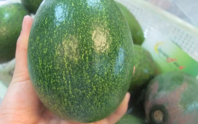 Mẹo chọn bơ sáp ngon