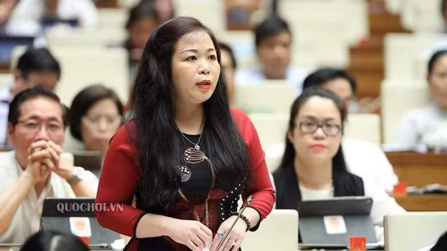 Đại biểu Vũ Thị Lưu Mai, đoàn Hà Nội (Ảnh: Quốc hội).